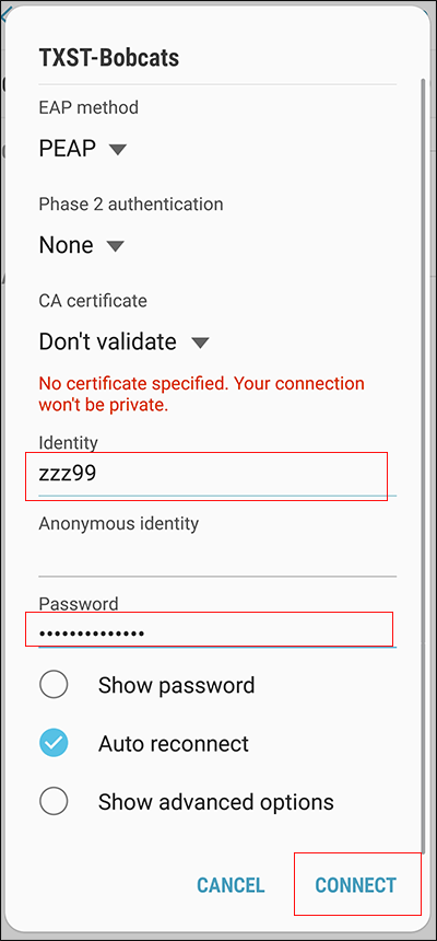 Enter your NetID and click connect