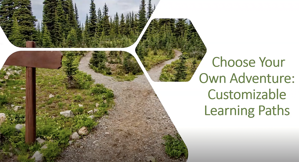 customizing learning paths
